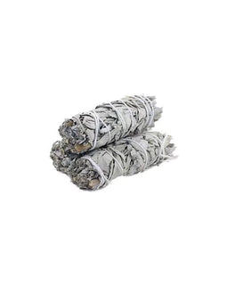 Native Soul Witte Salie Smudge Stick – Bundel van 3, 5 of 10 (10 cm)